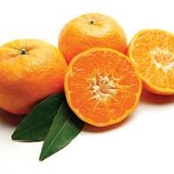 Mandarin Ii.oszt Szh:töröko. / 10 Dkg