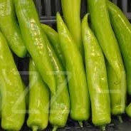 Hegyes Erős Paprika Ii.oszt Szh:mo