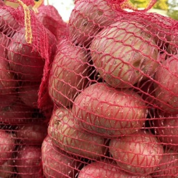 Burgonya 5Kg Zsákos Ii.oszt Szh:szlov.