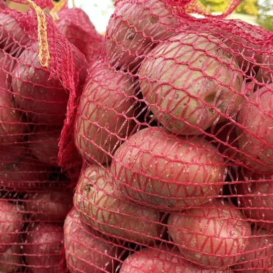 Burgonya 5Kg Zsákos Ii.oszt Szh:szlov.