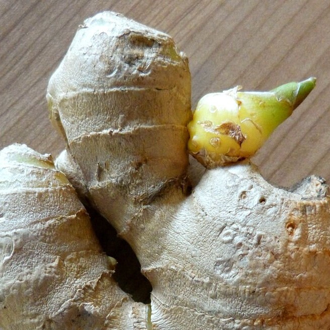 Gyömbér Ii.oszt Szh:mo / 10 Dkg